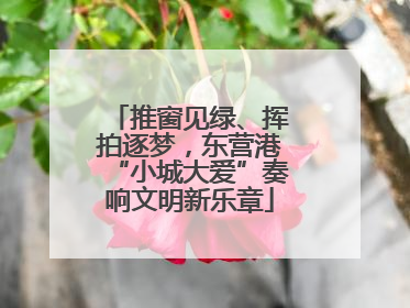 推窗见绿、挥拍逐梦，东营港“小城大爱”奏响文明新乐章