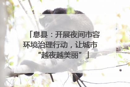 息县：开展夜间市容环境治理行动，让城市 “越夜越美丽”