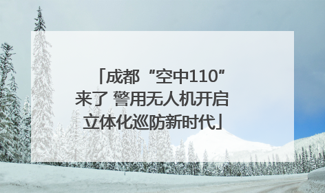 成都“空中110”来了 警用无人机开启立体化巡防新时代
