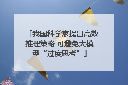 我国科学家提出高效推理策略 可避免大模型“过度思考”