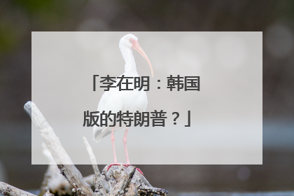 李在明：韩国版的特朗普？
