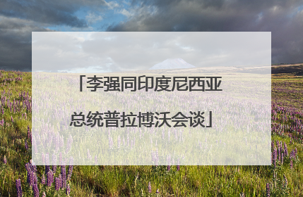 李强同印度尼西亚总统普拉博沃会谈