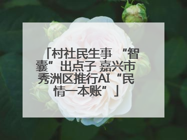村社民生事 “智囊”出点子 嘉兴市秀洲区推行AI“民情一本账”