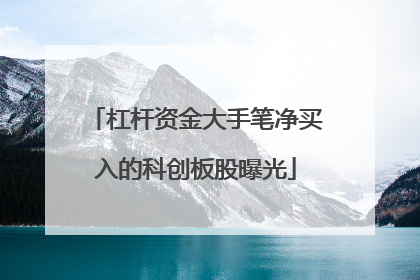 杠杆资金大手笔净买入的科创板股曝光