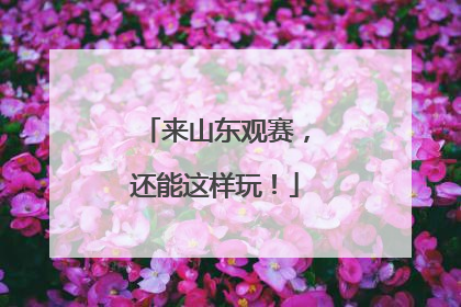 来山东观赛，还能这样玩！