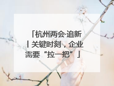 杭州两会·追新丨关键时刻，企业需要“拉一把”