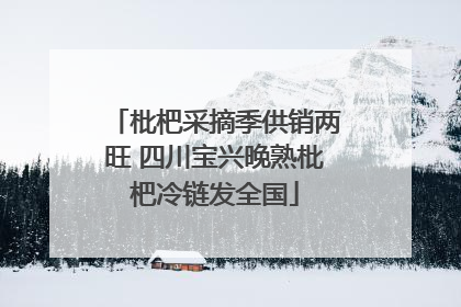 枇杷采摘季供销两旺 四川宝兴晚熟枇杷冷链发全国