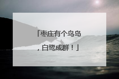枣庄有个鸟岛，白鹭成群！