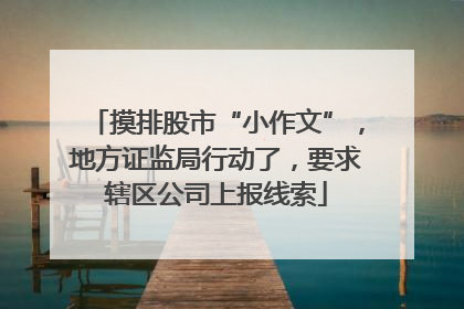 摸排股市“小作文”，地方证监局行动了，要求辖区公司上报线索