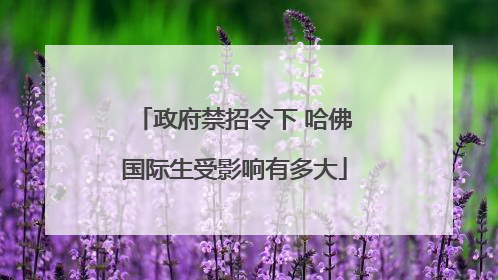 政府禁招令下 哈佛国际生受影响有多大