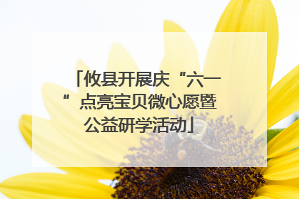 攸县开展庆“六一”点亮宝贝微心愿暨公益研学活动