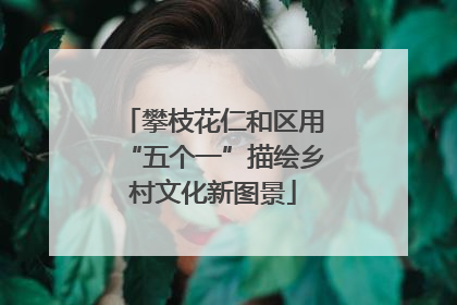 攀枝花仁和区用“五个一”描绘乡村文化新图景