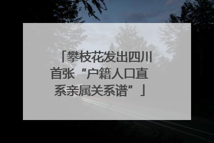 攀枝花发出四川首张“户籍人口直系亲属关系谱”
