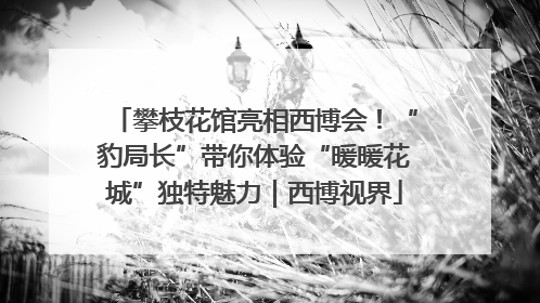 攀枝花馆亮相西博会！“豹局长”带你体验“暖暖花城”独特魅力｜西博视界