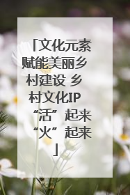 文化元素赋能美丽乡村建设 乡村文化IP“活”起来“火”起来