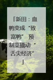 新田：血鸭变成“致富鸭” 预制菜撬动“舌尖经济”