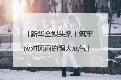 新华全媒头条丨筑牢应对风雨的强大底气
