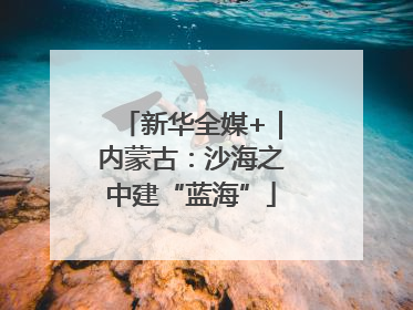 新华全媒+｜内蒙古：沙海之中建“蓝海”