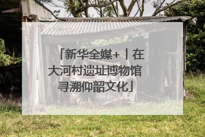 新华全媒+丨在大河村遗址博物馆寻溯仰韶文化