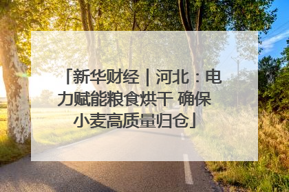 新华财经｜河北：电力赋能粮食烘干 确保小麦高质量归仓
