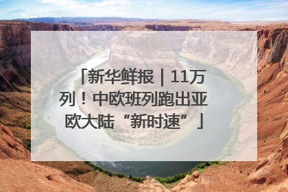 新华鲜报｜11万列！中欧班列跑出亚欧大陆“新时速”