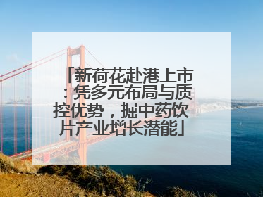 新荷花赴港上市：凭多元布局与质控优势，掘中药饮片产业增长潜能