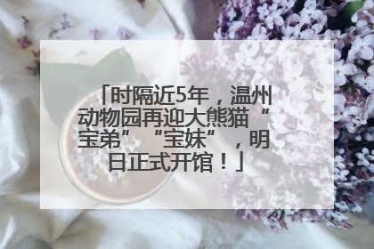 时隔近5年，温州动物园再迎大熊猫“宝弟”“宝妹”，明日正式开馆！
