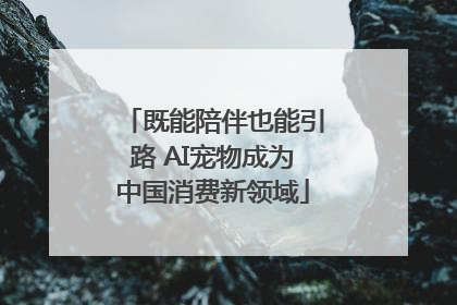 既能陪伴也能引路 AI宠物成为中国消费新领域