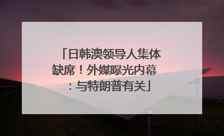 日韩澳领导人集体缺席！外媒曝光内幕：与特朗普有关