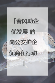 春风助企优发展 鹤岗公安护企优商在行动