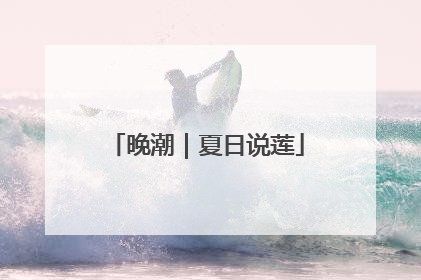 晚潮｜夏日说莲