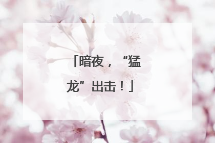 暗夜，“猛龙”出击！