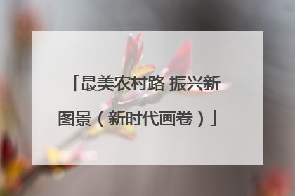 最美农村路 振兴新图景（新时代画卷）