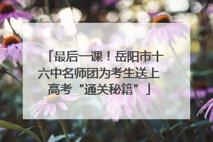 最后一课！岳阳市十六中名师团为考生送上高考“通关秘籍”