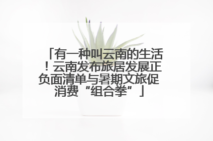 有一种叫云南的生活！云南发布旅居发展正负面清单与暑期文旅促消费“组合拳”