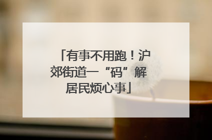 有事不用跑！沪郊街道一“码”解居民烦心事