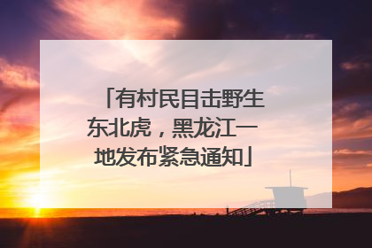 有村民目击野生东北虎，黑龙江一地发布紧急通知