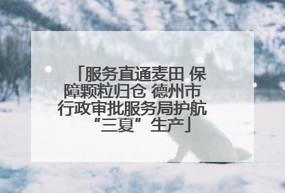 服务直通麦田 保障颗粒归仓 德州市行政审批服务局护航“三夏”生产
