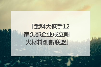 武科大携手12家头部企业成立耐火材料创新联盟