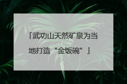 武功山天然矿泉为当地打造“金饭碗”