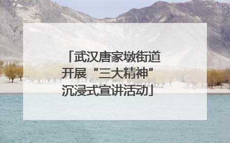 武汉唐家墩街道开展“三大精神”沉浸式宣讲活动
