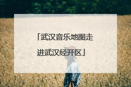 武汉音乐地图走进武汉经开区