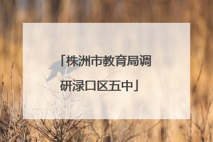 株洲市教育局调研渌口区五中