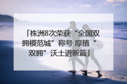 株洲8次荣获“全国双拥模范城”称号 厚植“双拥”沃土谱新篇