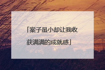 案子虽小却让我收获满满的成就感
