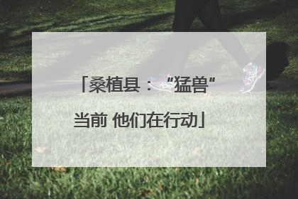桑植县：“猛兽”当前 他们在行动