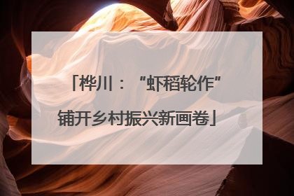 桦川：“虾稻轮作”铺开乡村振兴新画卷