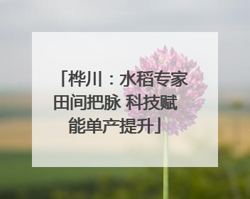 桦川：水稻专家田间把脉 科技赋能单产提升