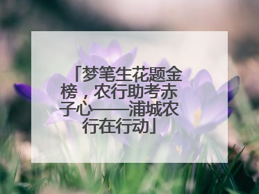 梦笔生花题金榜，农行助考赤子心——浦城农行在行动