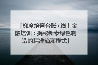 梯度培育台账+线上金融培训：揭秘新泰绿色制造的精准滴灌模式